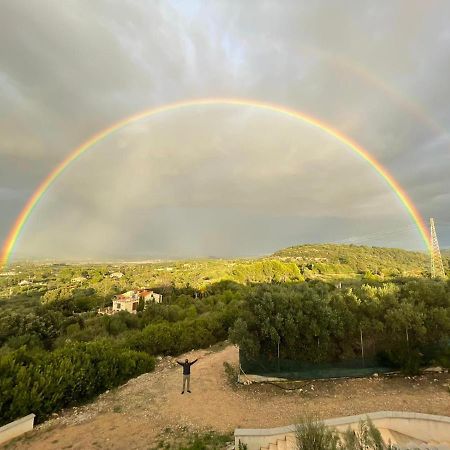 Alghero - House With Panoramic View Immersed In Full Nature Exteriér fotografie